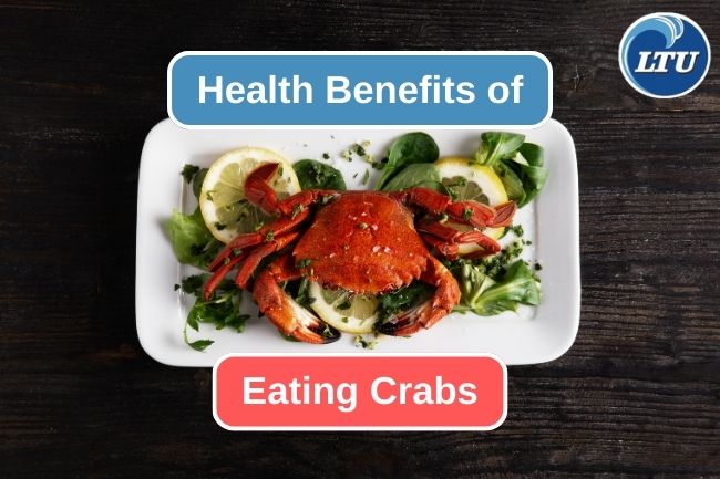 The 6 Best Benefits of Eating Crabs